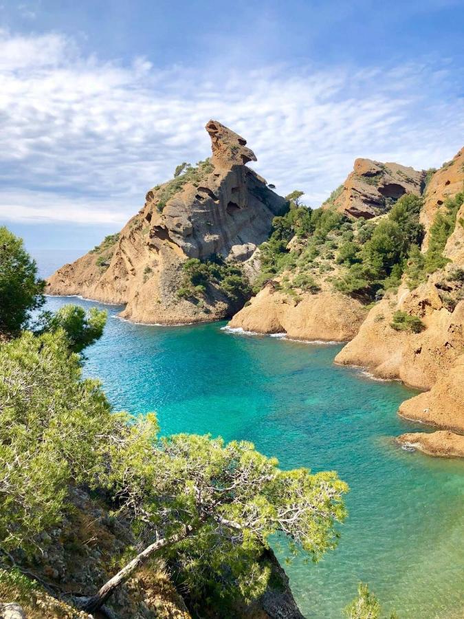 Chambre D'Hotes Le Secadou La Ciotat Zewnętrze zdjęcie