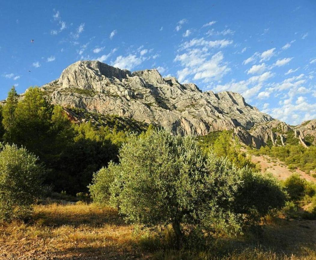 Chambre D'Hotes Le Secadou La Ciotat Zewnętrze zdjęcie